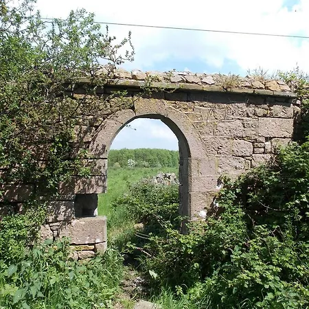 Ash Hill 4* Kilmallock