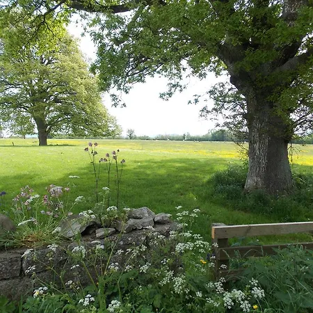 Bed & Breakfast Ash Hill 4*