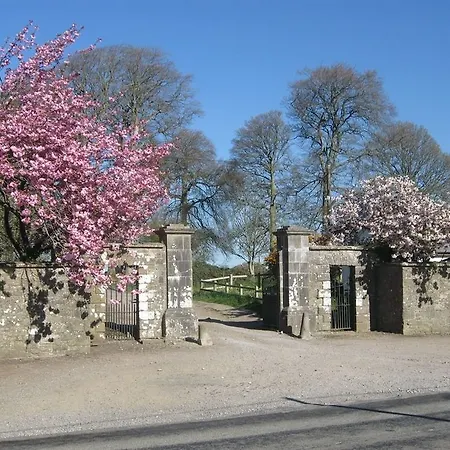 Ash Hill לינה וארוחת בוקר