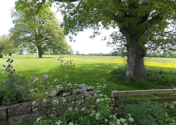 Bed and breakfast Ash Hill 4*
