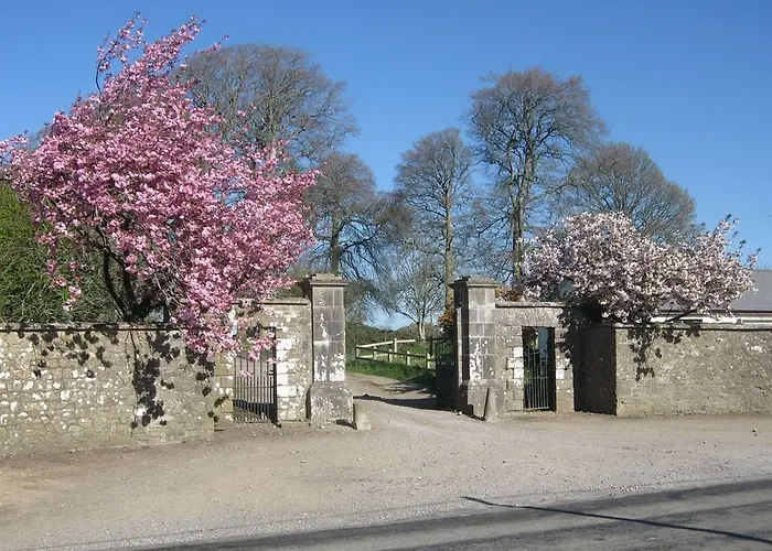 Ash Hill Bed & Breakfast